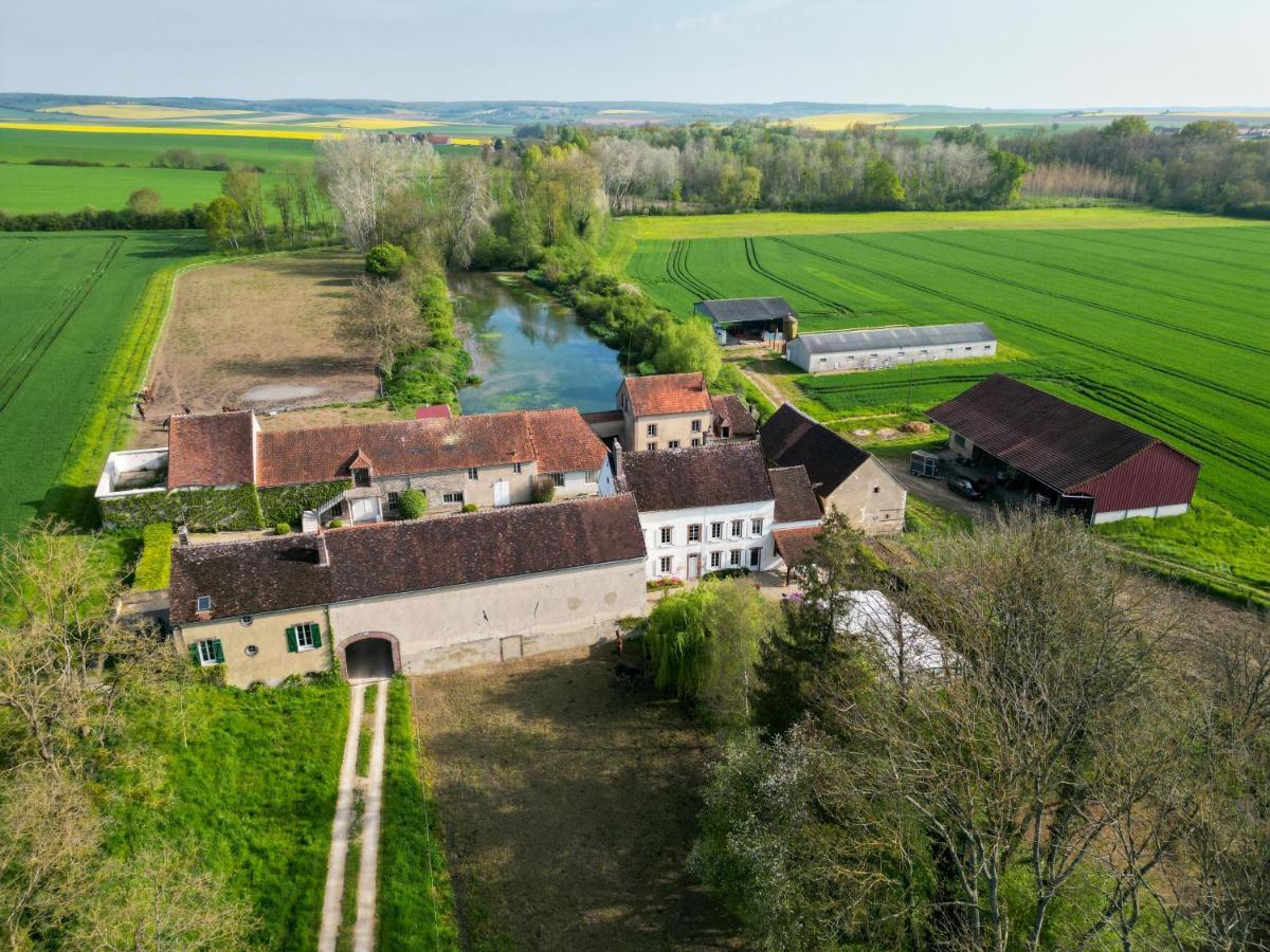 Le Moulin Neuf Βίλα Brienon-sur-Armançon Εξωτερικό φωτογραφία