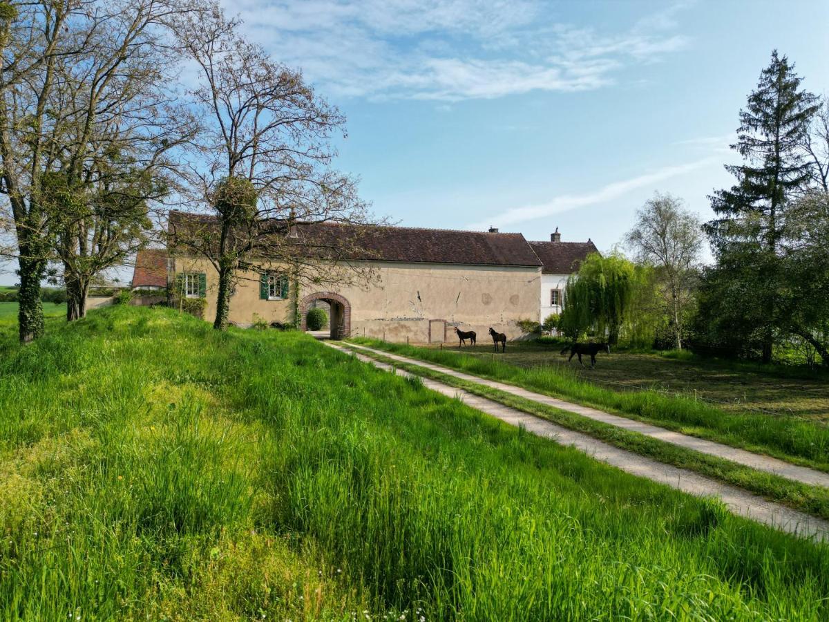 Le Moulin Neuf Βίλα Brienon-sur-Armançon Εξωτερικό φωτογραφία