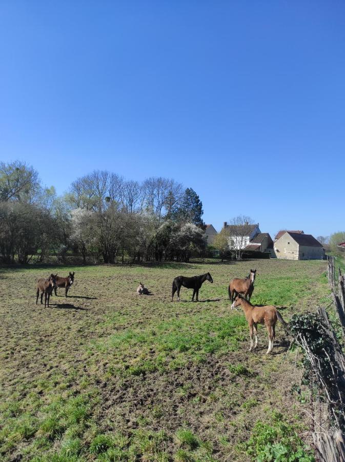 Le Moulin Neuf Βίλα Brienon-sur-Armançon Εξωτερικό φωτογραφία