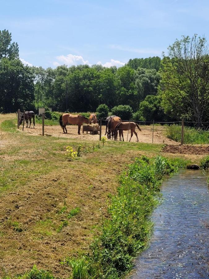 Le Moulin Neuf Βίλα Brienon-sur-Armançon Εξωτερικό φωτογραφία